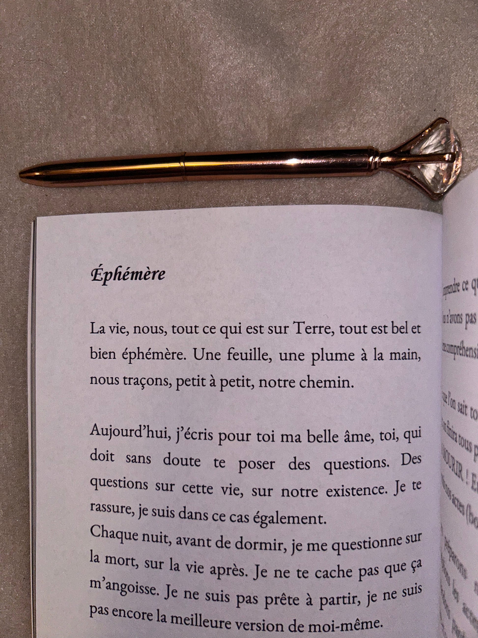 Une Vie Éphémère